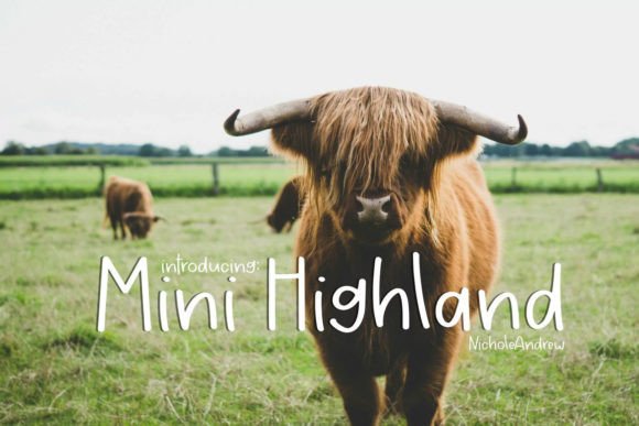 Mini Highland: A Handwritten Font for Editorial Design