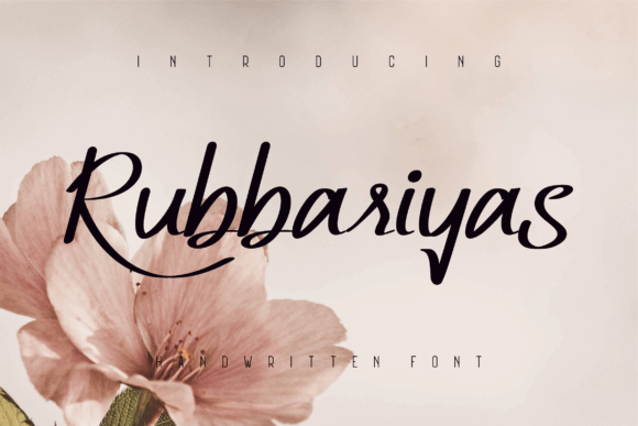 Rubbariyas Font for Web Design